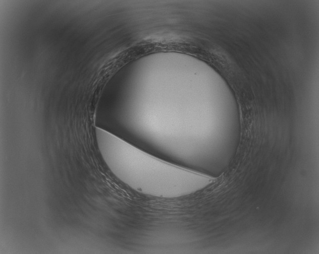 X0000053010966200507081017