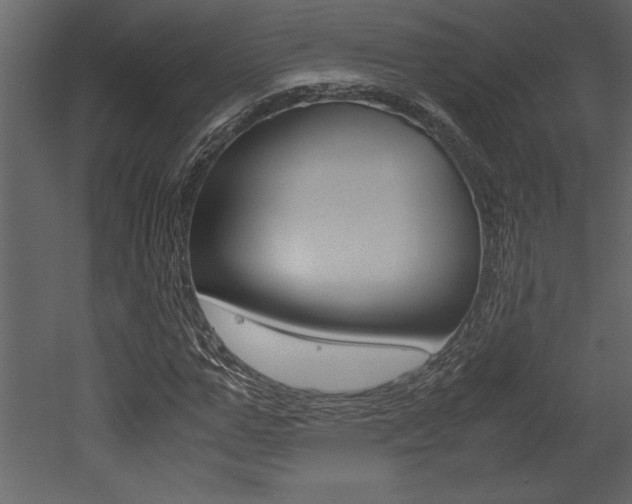 X0000053010967200507081017
