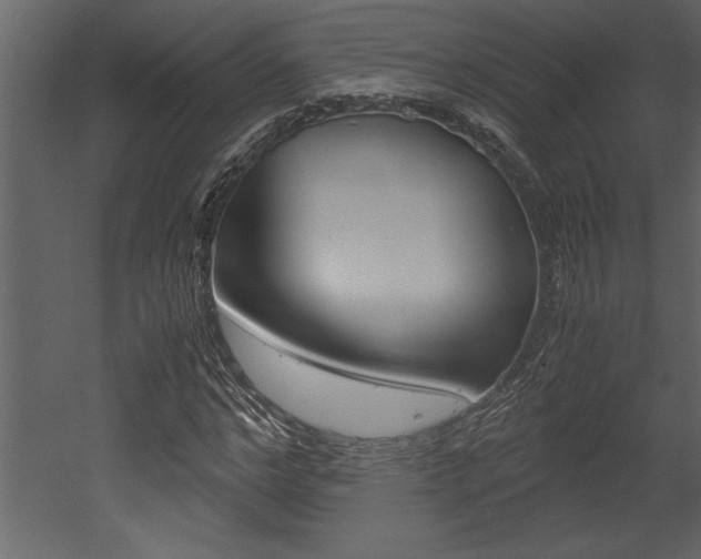 X0000053010968200507081017