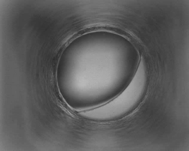 X0000053010969200507081017