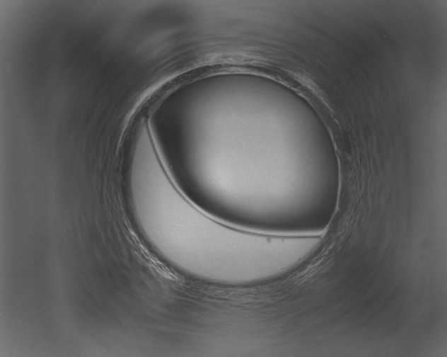 X0000053010971200507081017