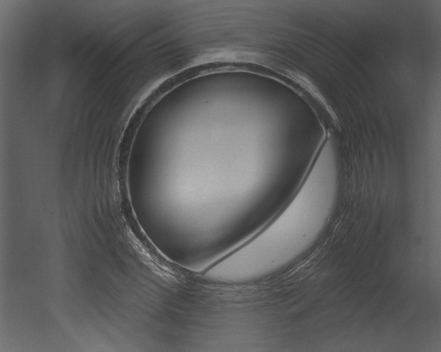 X0000053010972200507081017