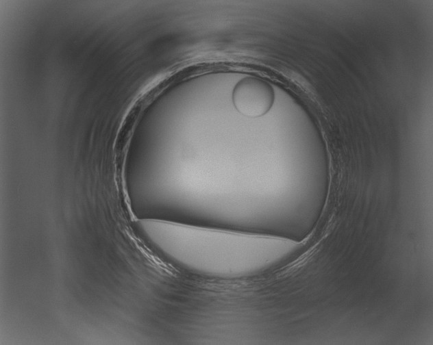 X0000053010974200507081017