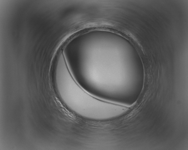 X0000053010975200507081017