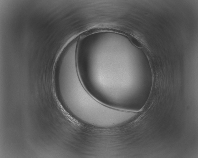X0000053010976200507081017