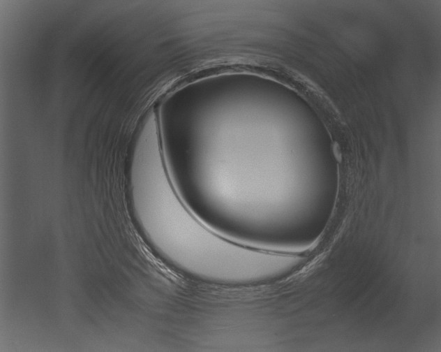 X0000053010977200507081017