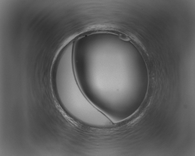 X0000053010981200507081017