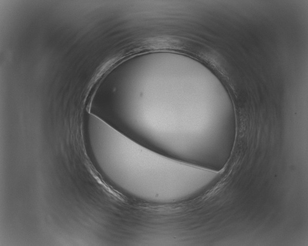 X0000053010986200507081017