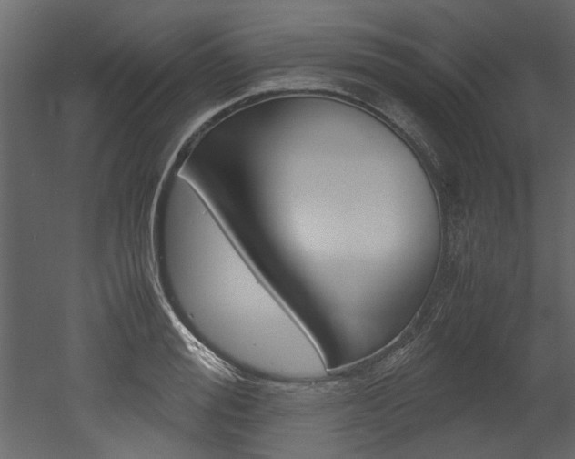 X0000053010988200507081017