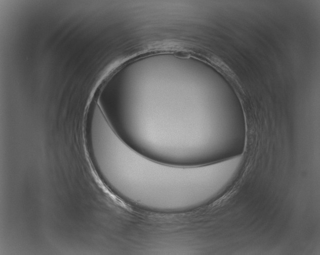 X0000053010989200507081017