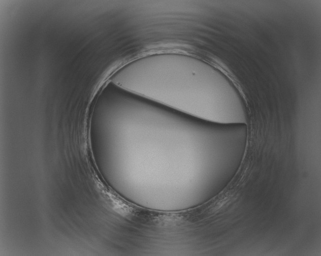X0000053010994200507081017
