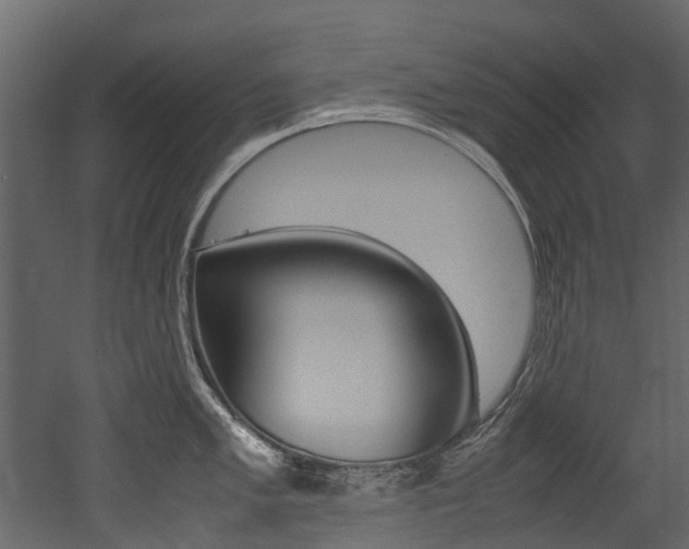 X0000053011005200507081016
