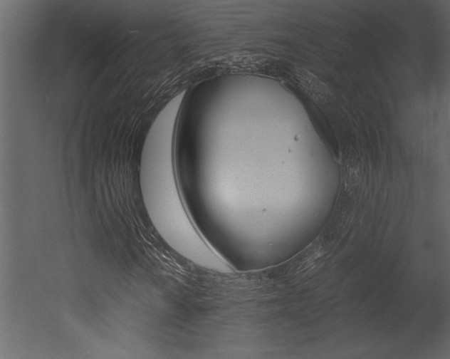 X0000053011010200507081015