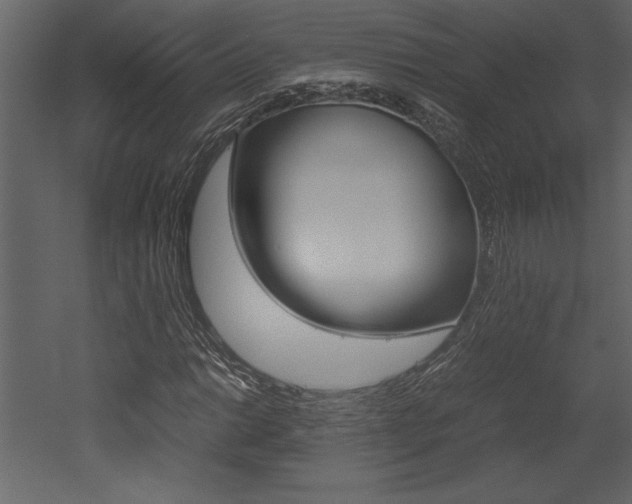 X0000053011014200507081016