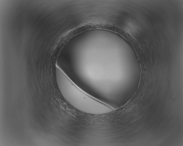 X0000053011016200507081016