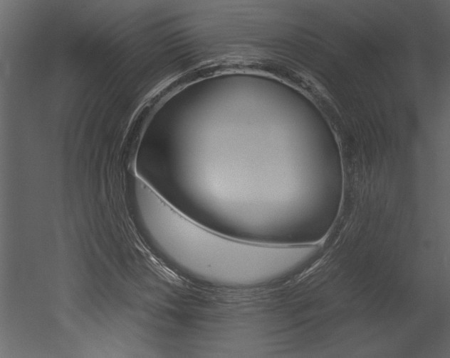 X0000053011018200507081016