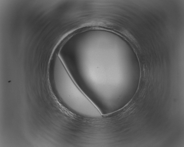 X0000053011020200507081016