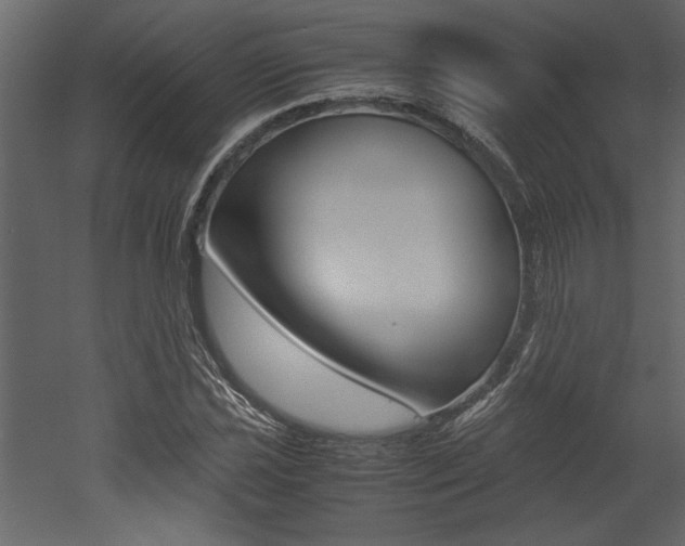 X0000053011021200507081016