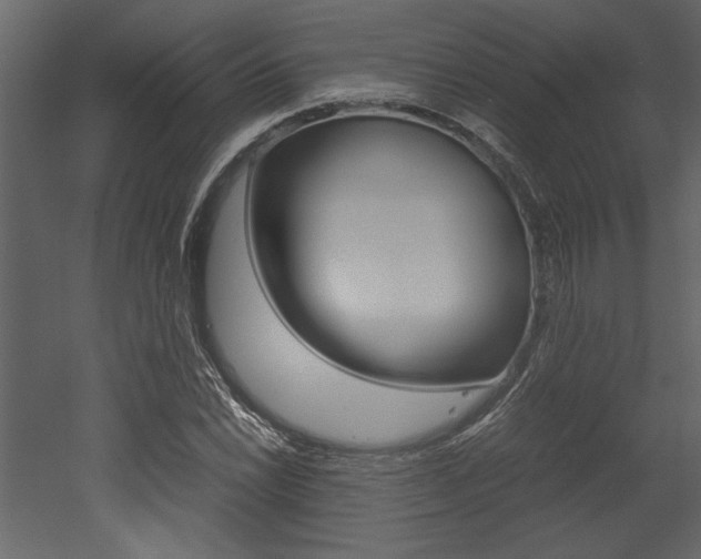 X0000053011022200507081016