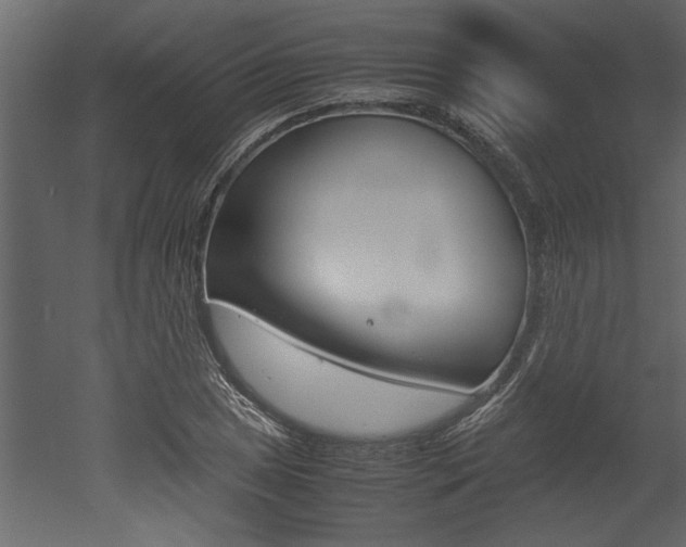 X0000053011025200507081016