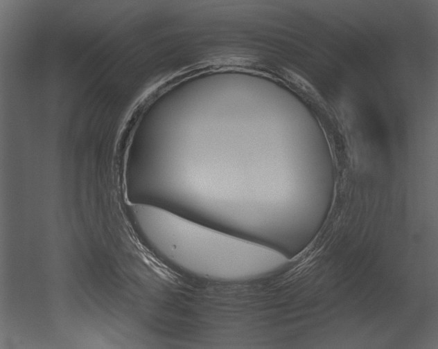 X0000053011027200507081016