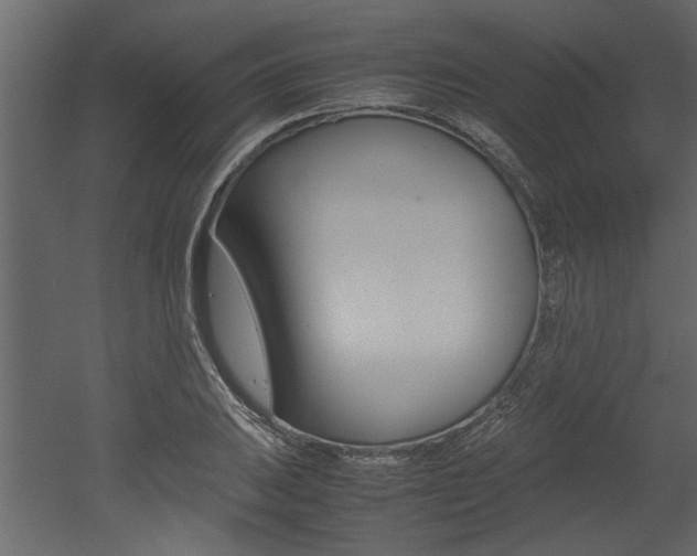 X0000053011031200507081016