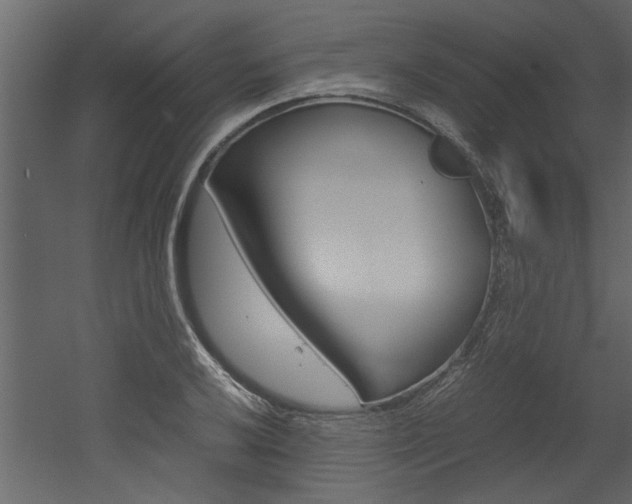 X0000053011032200507081016