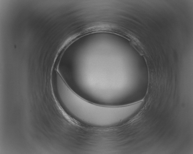 X0000053011034200507081016