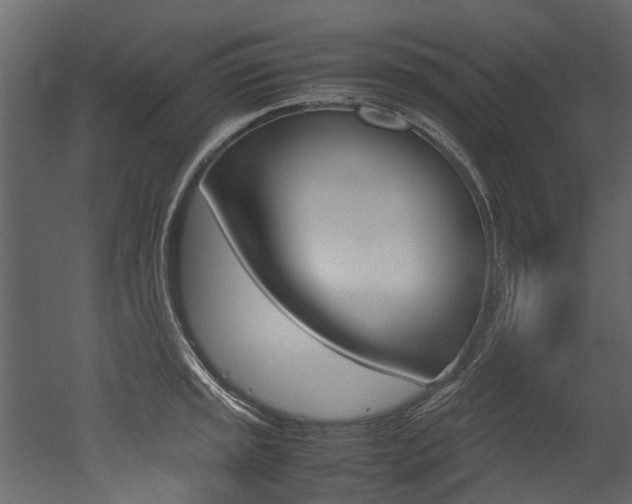 X0000053011045200507081016