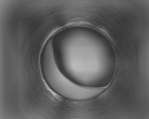 X0000053011046200507081016