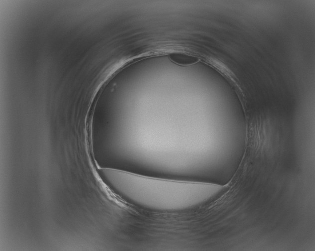 X0000053011047200507081016