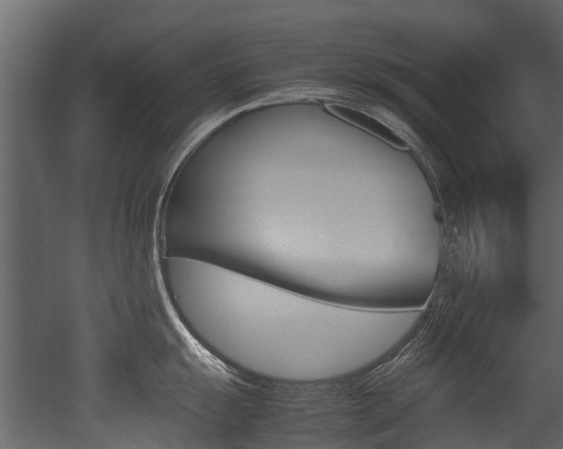 X0000053011055200507081016