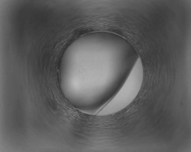 X0000053011057200507081015