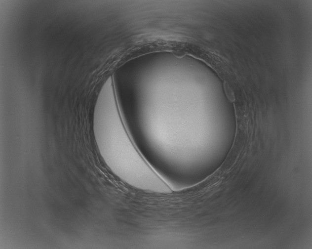 X0000053011061200507081015
