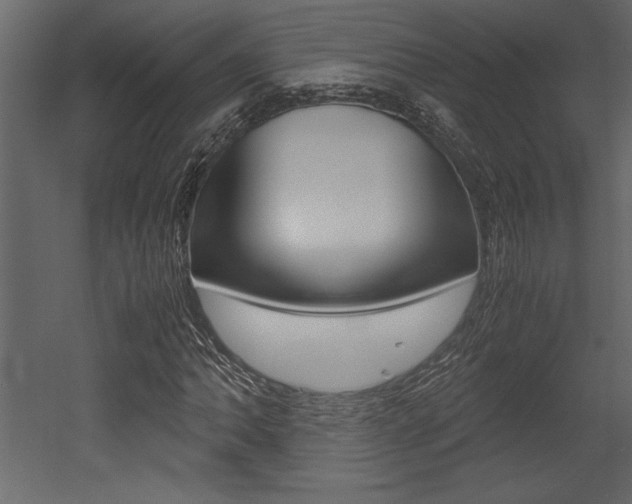X0000053011062200507081015