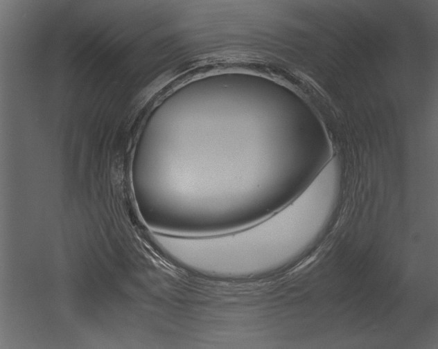 X0000053011065200507081015