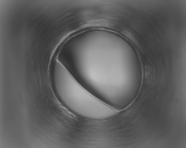 X0000053011068200507081015