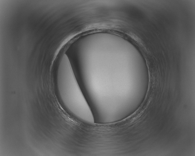 X0000053011070200507081015