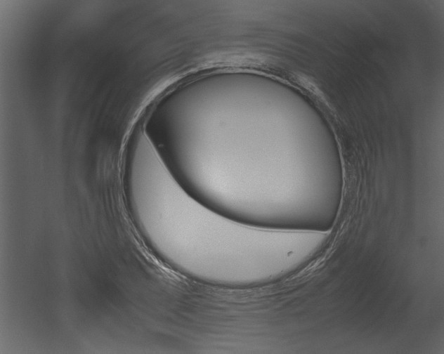 X0000053011071200507081015