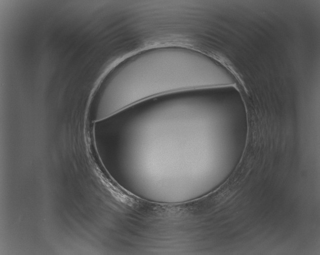 X0000053011072200507081015