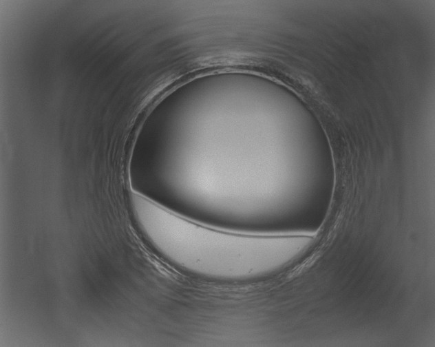 X0000053011073200507081015