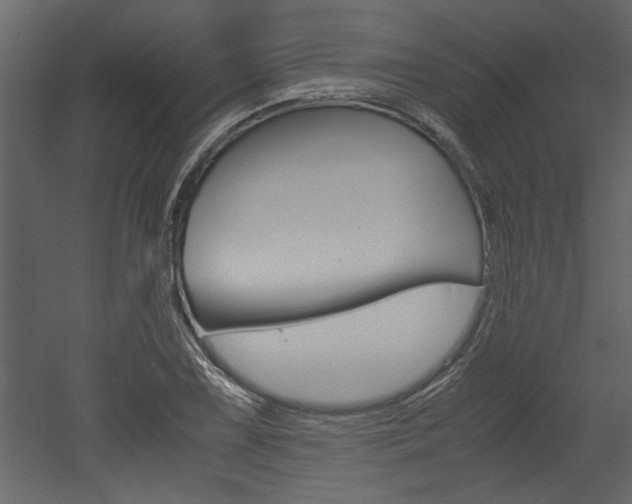 X0000053011075200507081015