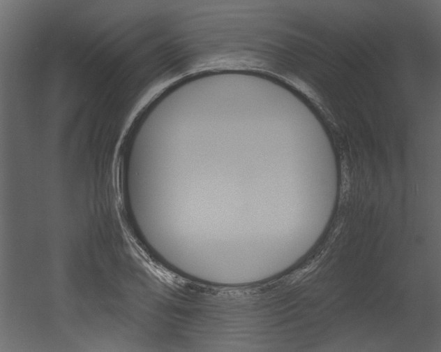 X0000053011078200507081015