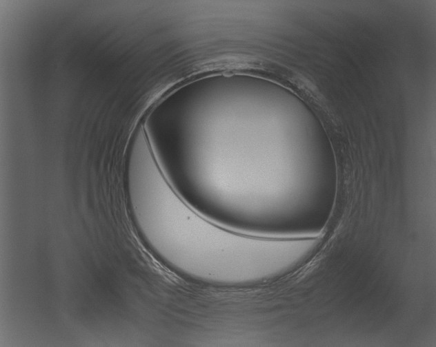 X0000053011081200507081015