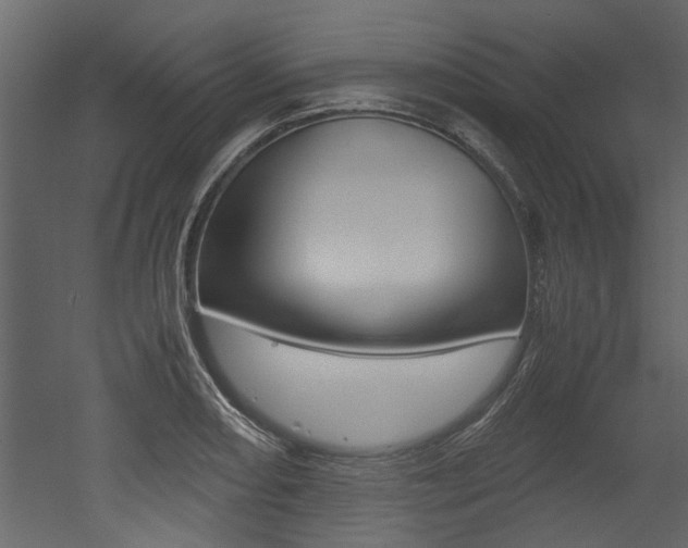 X0000053011082200507081015