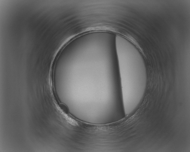 X0000053011084200507081015