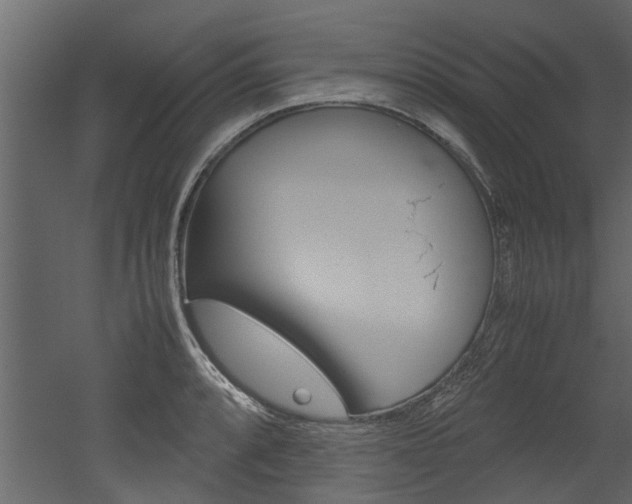 X0000053011088200507081015