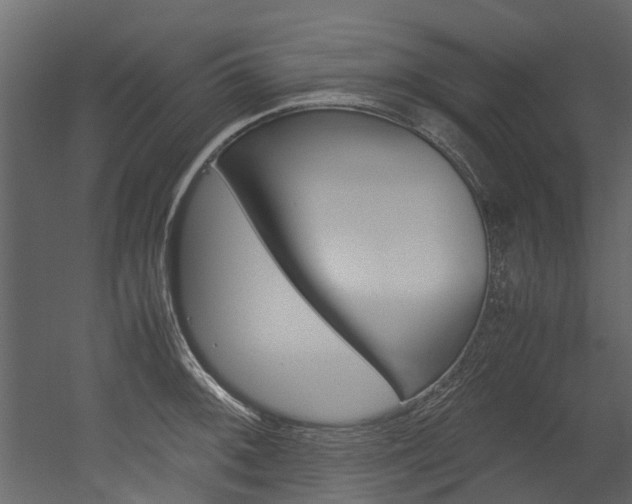 X0000053011092200507081015
