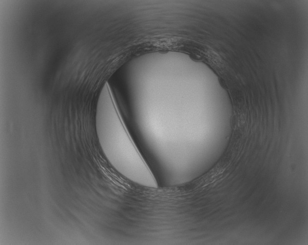 X0000053011106200507081014
