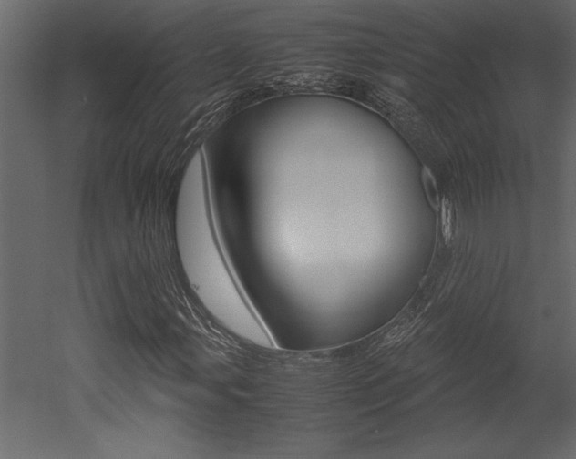 X0000053011107200507081014